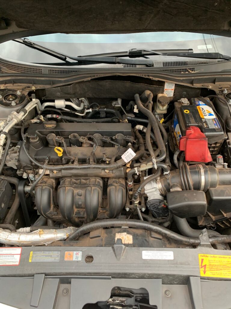 WhatsApp Image 2026-01-13 at 21.51.14 (3)